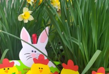 278662841_1134540993989395_5871564403286786801_n