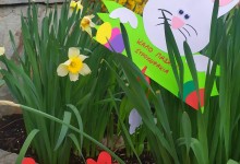 278773793_1134540930656068_716462012408959478_n