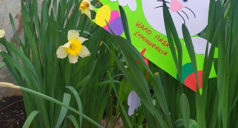 Δημιουργικό εργαστήρι πασχαλινού αυγού 🥚🎨