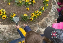 278878427_1135805523862942_3147369463830520012_n