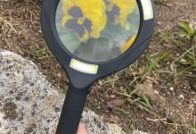 278902514_1135805473862947_5310981053402092635_n