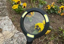 278980102_1135805400529621_914533034028128210_n