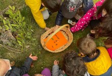 278947780_1135805320529629_3661806432294683372_n