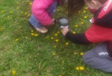 278902197_1135805167196311_7033550931159880964_n