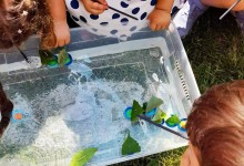 291974932_1184533882323439_8336820674004937489_n