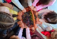 308161070_561591049097434_5146364557064311514_n