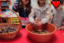 308195243_561591169097422_3268554471359496197_n