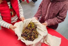 308420252_561591252430747_6846852655841279402_n