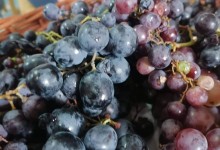 308486007_561591675764038_8444948774864791487_n