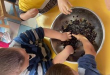 308671621_561591465764059_2213293763860906227_n