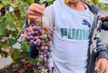 308756737_561590805764125_5769860666776472666_n