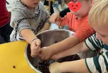 309156698_561591532430719_475193346019027656_n