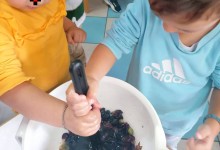 309212441_561591595764046_5421394004775021199_n