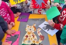 309418236_568218985101307_3834518292696630721_n