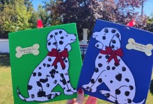 310700830_568219501767922_739979475831958028_n