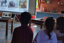 310316335_570661864857019_2525051884440197601_n