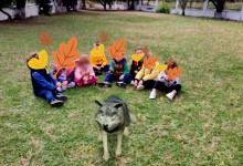 310683714_570661678190371_8370139610628930146_n