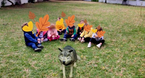 Παρέα με καφέ αρκούδα🐻 και τον Γκρίζο λύκο 🐺πριν την εικονική περιήγηση μας στον Αρκτούρο 🐻