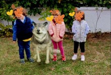 310683667_570661641523708_8615546234680485547_n