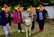 310679478_570661604857045_405875759678005354_n