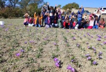 313964772_591099012813304_4011644418395216160_n