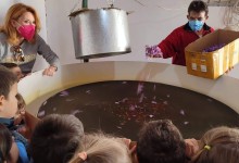 313427212_591099469479925_9187681403644082915_n