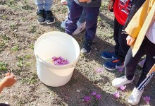 313417943_591099392813266_357351482225804104_n