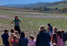 313441146_591099249479947_6570626027003795769_n