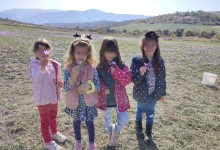 313428541_591099106146628_6881834352059855664_n