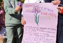 313975708_661925492147174_4471588579127679260_n