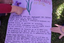 313979361_3306126743001607_463230026883708154_n