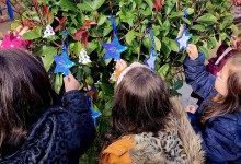 319617645_919004295692569_3462520226144653174_n