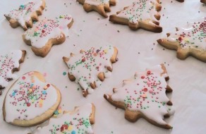 320389317_556233516009253_1233650057946345421_n