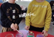 331231188_912186863159480_569025467807620023_n