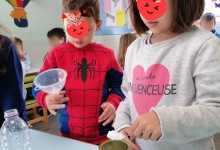 335043991_754823925996018_7989662740332354708_n