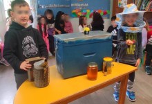 received_782593513456376