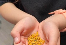 received_1597446174097877