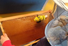 received_237413188889881