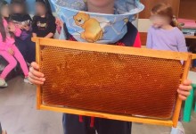 received_1591134931297497