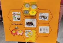 received_1233725717277334