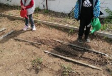 347254995_759548845949701_430673158099959344_n