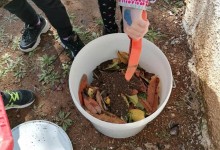 347439194_1293893724576809_6563152273264701660_n