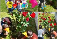 352222999_121573797619601_8235697598306755772_n