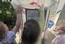 352231635_586939240095797_4997506884390120579_n