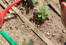 352768381_731150322141505_1395944282848050896_n