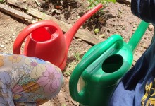 352780850_731150435474827_4996088307087171581_n