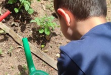 352793603_731150382141499_6020134530973806776_n