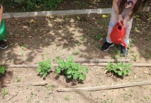 352949501_731150478808156_3542874975036506800_n