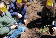 353132665_1443124733104388_7868797614466418048_n