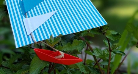 Ανήκω.. Καλοκαιρινή γιορτή 2023